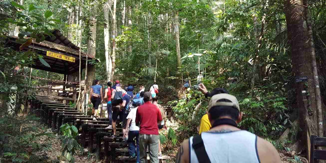 Cameron Highlands Jungle Trekking Tour