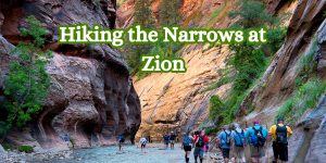 Hiking the Narrows at Zion