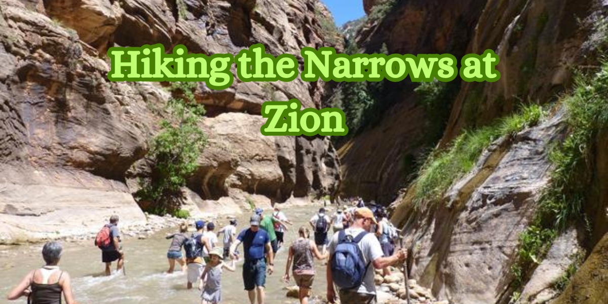 Hiking the Narrows at Zion