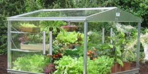 Aluminium and Glass Cold Frames