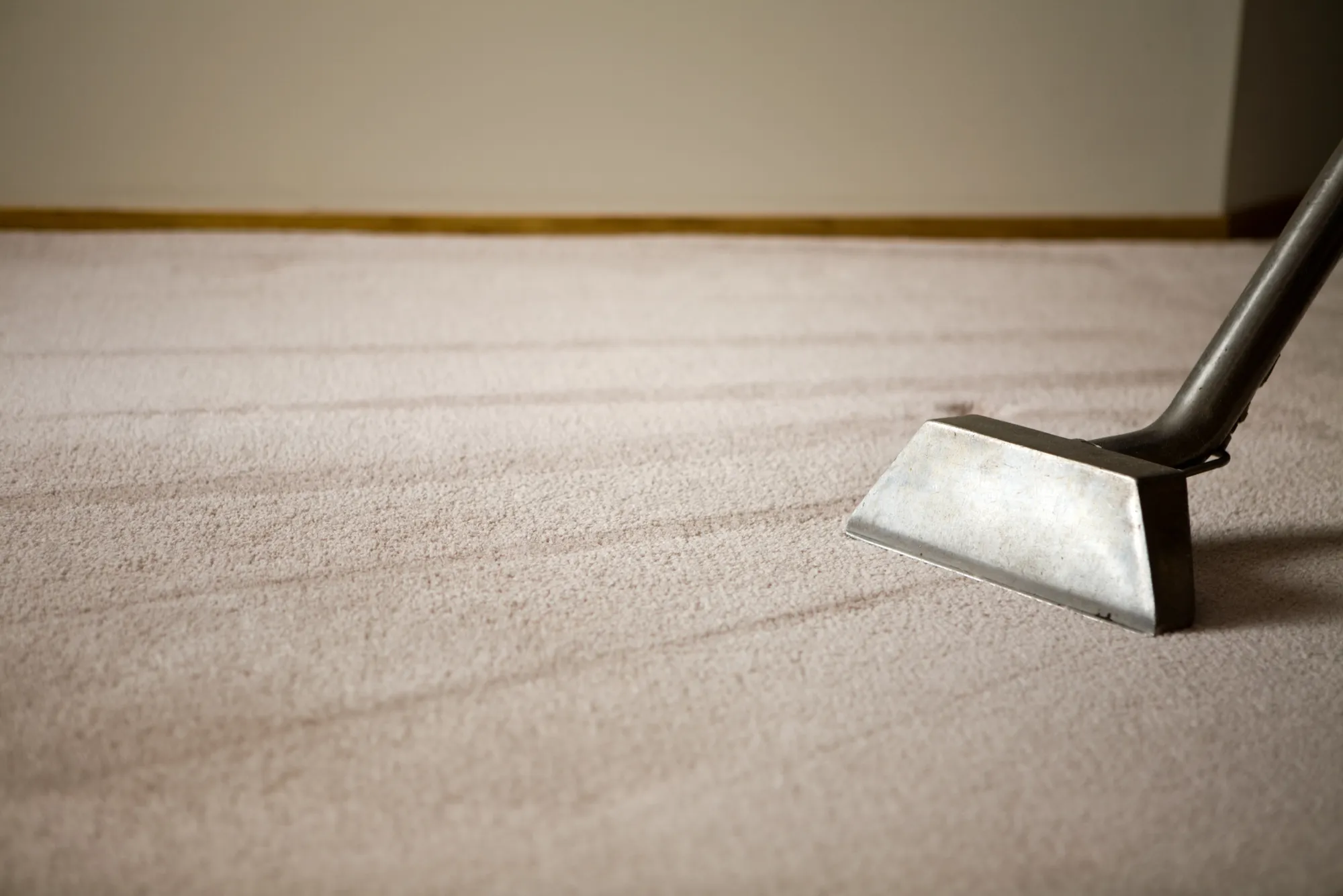 Why Every Vancouver Home Needs a Carpet Refresh After Winter