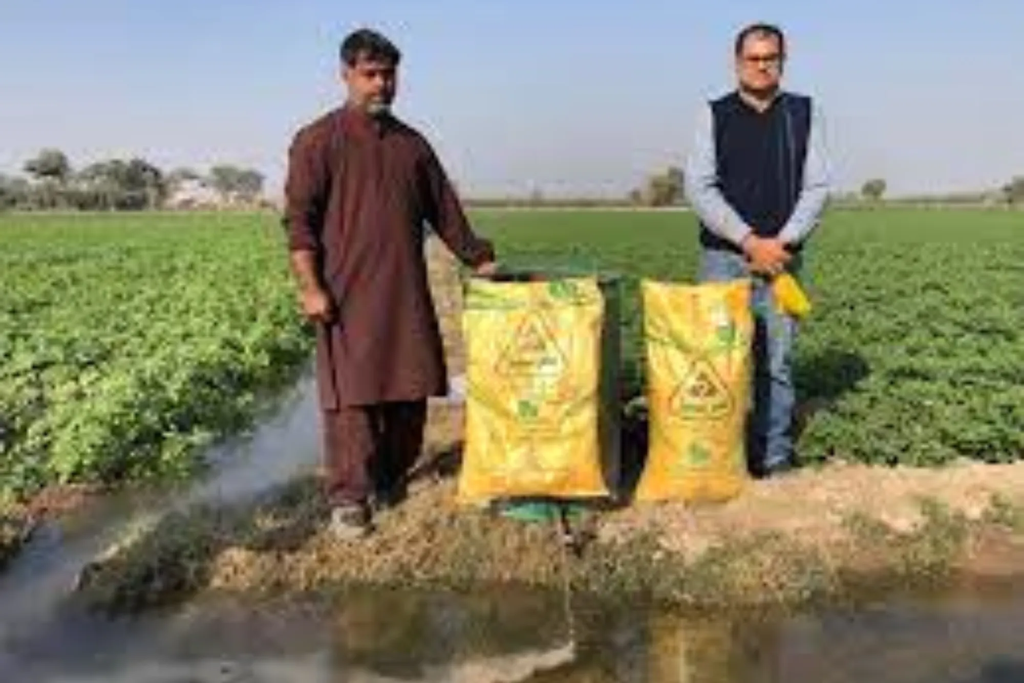 Beginner’s Guide: Agriculture Fertilizer Calculator Tools