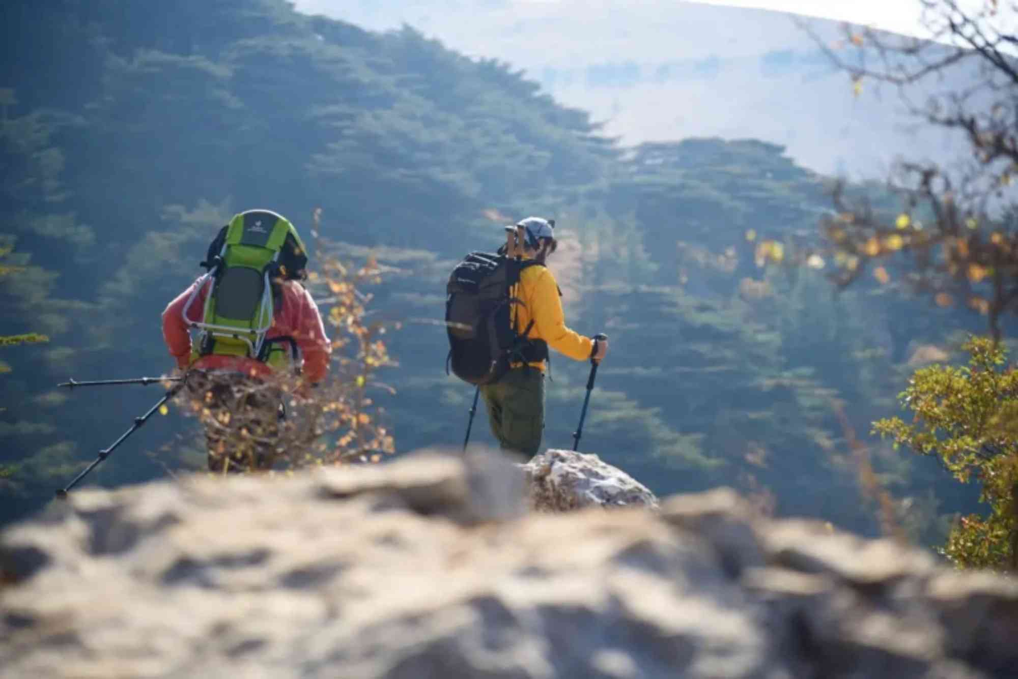 Trail Guide — Hiking Near Naples: Routes, Distance & Tips