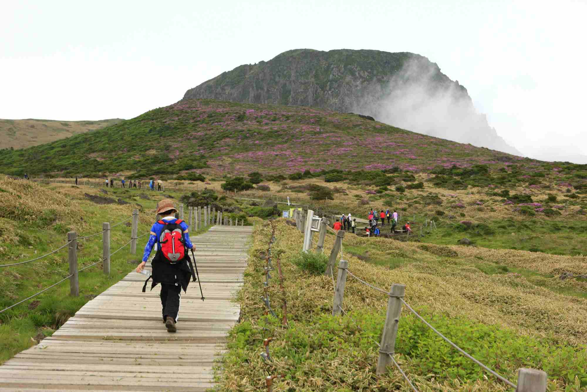 Trail Guide — Hiking Near Busan Routes, Distance & Tips