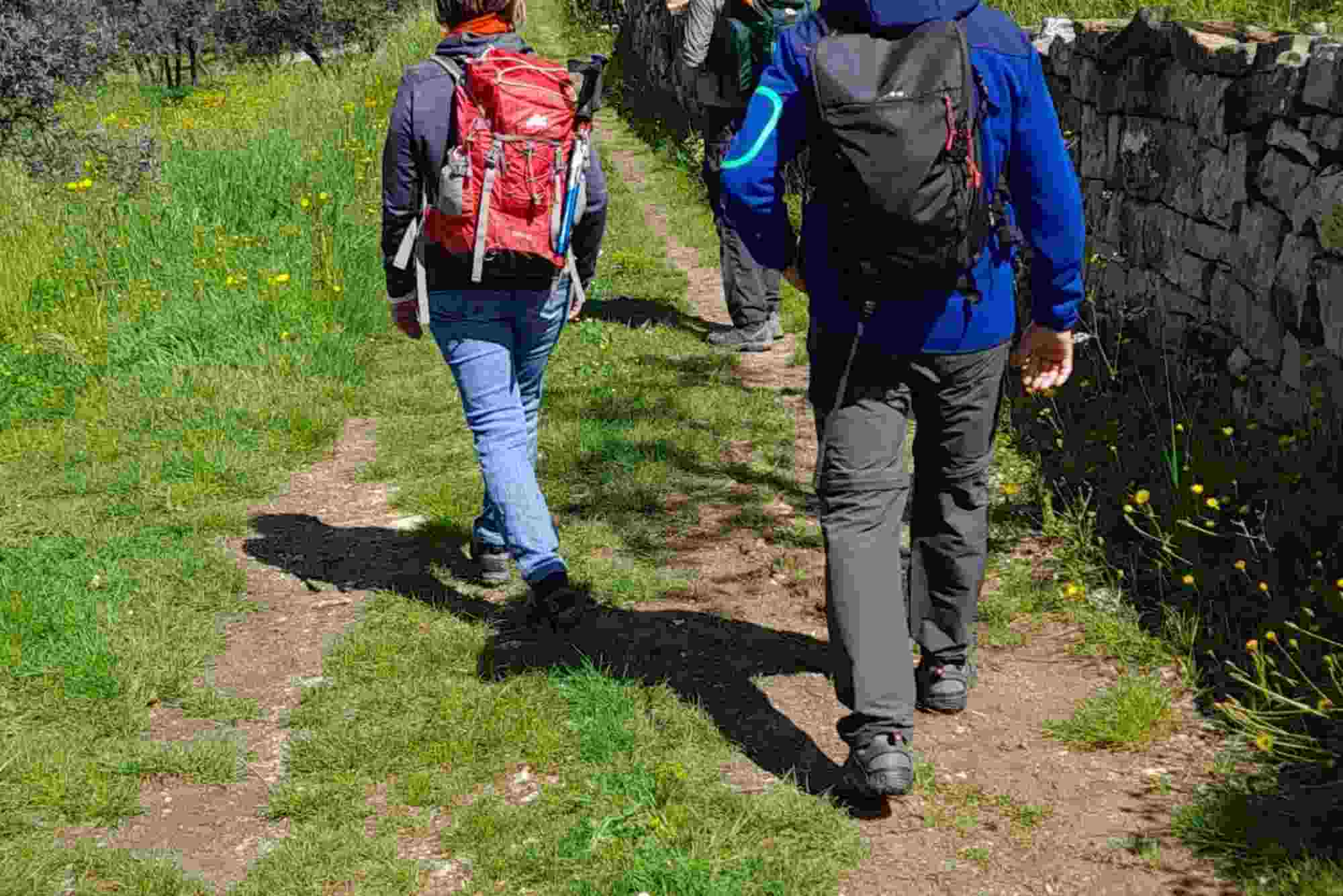 Trail Guide — Hiking Near Florence: Routes, Distance & Tips
