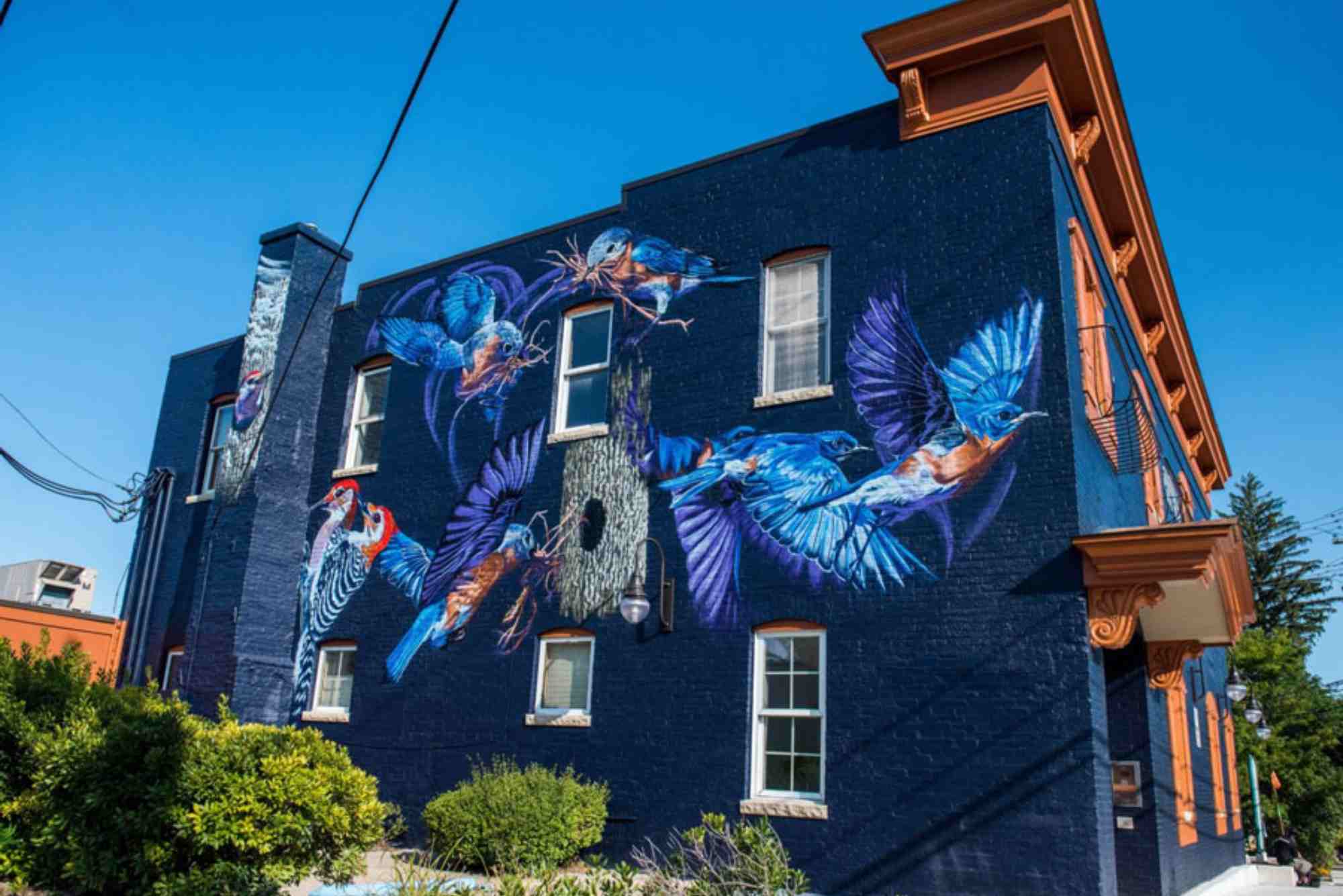 Local Painters In Ann Arbor MI & Surrounding Areas