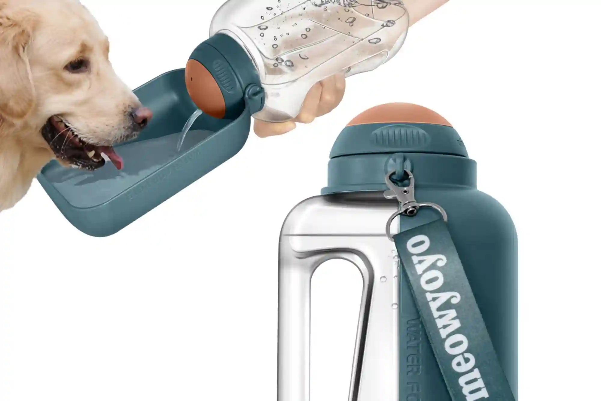 Best Portable Dog Water Bottles and Collapsible Bowls for Hiking