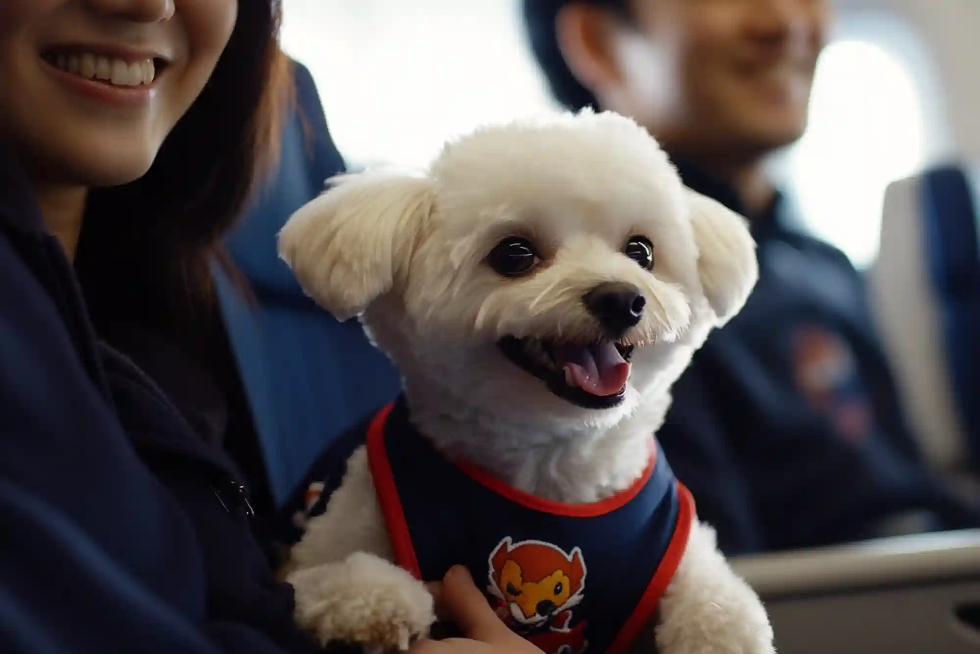 How to Fly with an Emotional Support Animal (ESA) vs Psychiatric Service Dog (PSD)